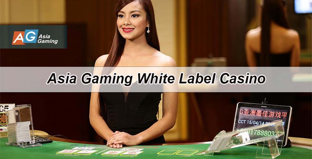 Asia Gaming White Label Casino 
