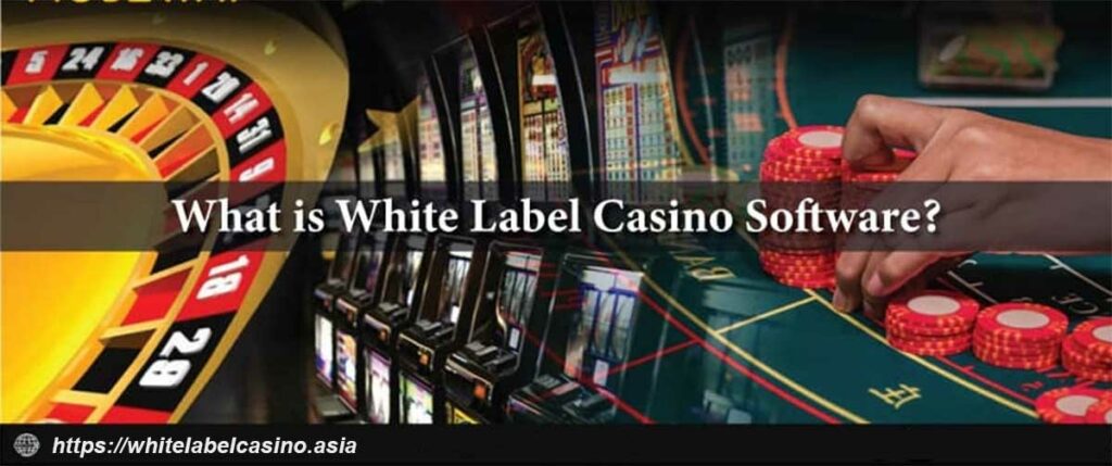 what-is-white-lable-casino-software